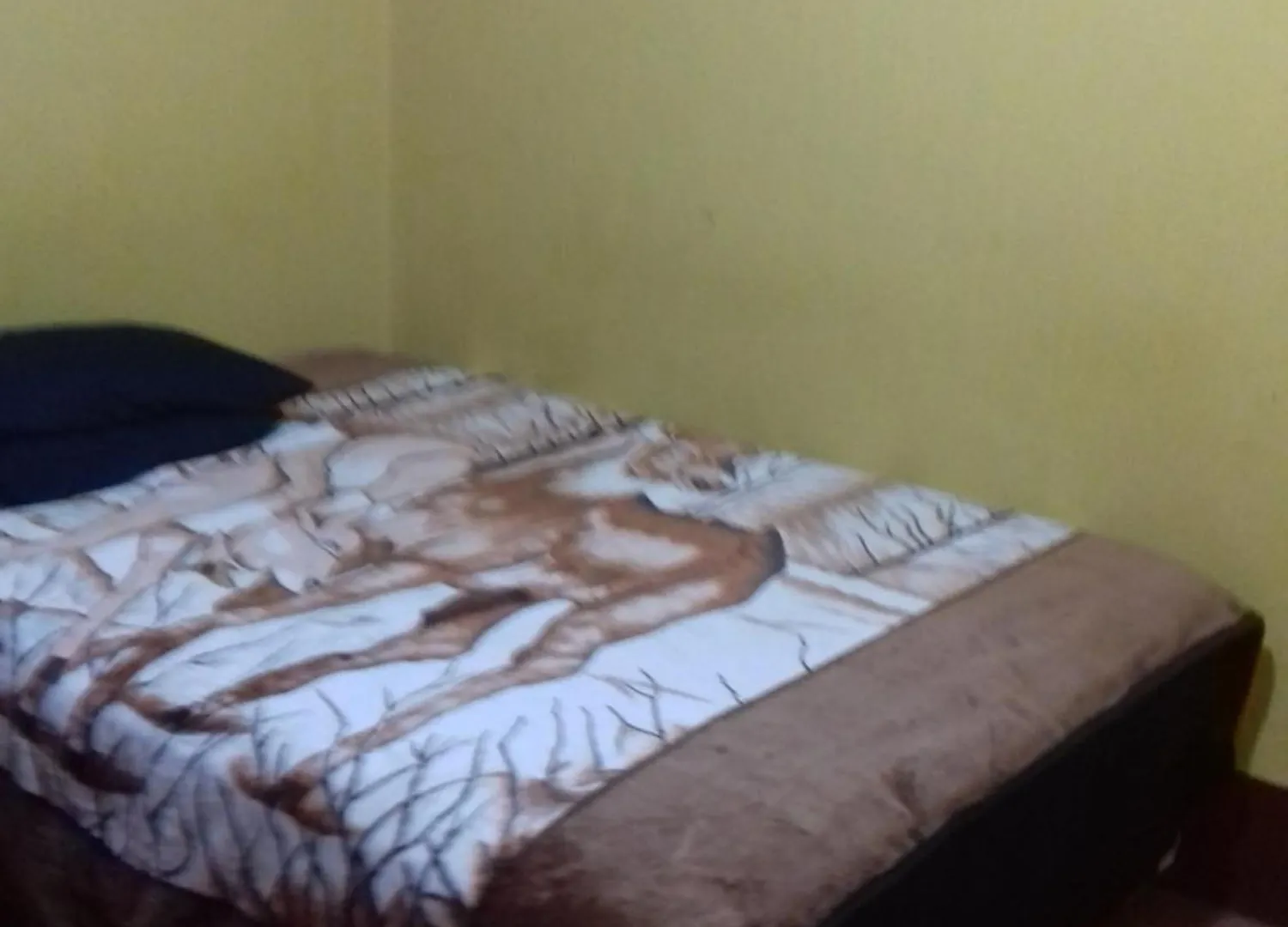 Homestay Luz House Apartment Amatitlan